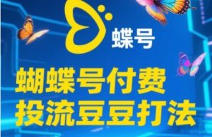 2025蝴蝶号付费投流豆豆打法,助新手快速掌握付费流量撬动自然流的核心玩法-阳知网创资源库
