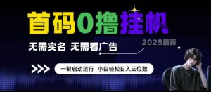 首码0撸挂G项目,无需实名无需看广告 一键启动运行,小白轻松日入三位数【揭秘】-阳知网创资源库