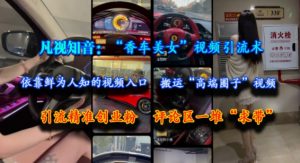 凡视知音:“香车美女”视频引流术,依靠鲜为人知的视频入口,搬运“高端圈子”视频,引流精准创业粉,评论区一堆“求带”-阳知网创资源库