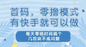 首码零撸项目，有快手就可以做，每天业务时间搞个几张不是问题【揭秘】-阳知网创资源库