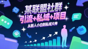 某联盟社群,引流+私域+项目,从新人小白到私域大神-阳知网创资源库