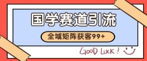 国学赛道精准拓客，自热矩阵日引99+ 获客SOP【揭秘】-阳知网创资源库