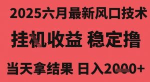 2025六月最新风口技术,无人挂G撸礼物,长期稳定 一个小时收益2k+,小白当天拿结果【揭秘】-阳知网创资源库