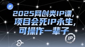 2025网创类IP课,项目会死IP永生,可操作一辈子-阳知网创资源库