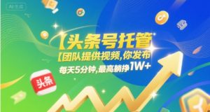 【头条号托管 】团队提供视频,你发布,每天5分钟,最高躺挣1W+【揭秘】-阳知网创资源库