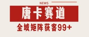 唐卡赛道私域引流获客 自热矩阵SOP日引流99+精准客资【揭秘】-阳知网创资源库
