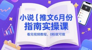 小说推文6月份指南实操课，看完视频教程，0粉就可做-阳知网创资源库