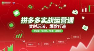 拼多多实战运营课,实时玩法,爆款打造,改销量,补大单,AB单,直播等(更新2025月)-阳知网创资源库