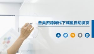 各类资源网代下咸鱼自动发货-阳知网创资源库