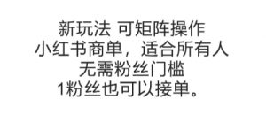 可矩阵操作，小红书商单新玩法，适合所有人，无需粉丝门槛，1粉丝也可以接单-阳知网创资源库