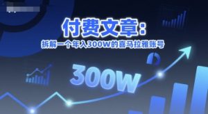 付费文章：拆解一个年入300W的喜马拉雅账号-阳知网创资源库