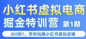 小红书虚拟电商掘金特训营第1期,从0到1,带你玩转小红书虚拟店铺-阳知网创资源库