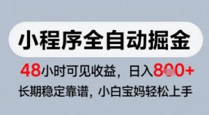 微信小程序全自动掘金,快速见收益,长期稳定靠谱,零基础友好,日入8张【揭秘】-阳知网创资源库
