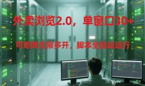 外卖浏览2.0，单窗口30+可矩阵无限多开，脚本全自动运行【揭秘】-阳知网创资源库