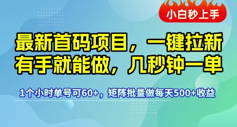 最新首码项目,一键拉新有手就能做,几秒钟一单,1个小时单号可60+,矩阵批量做每天5张【揭秘】-阳知网创资源库