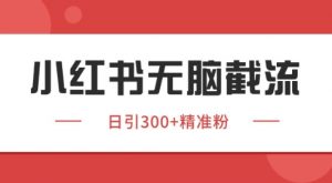 小红书截流同行客源,独家野路子获客玩法 日引200+暴力获客【揭秘】-阳知网创资源库