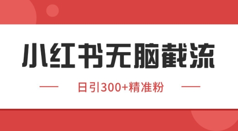 小红书截流同行客源,独家野路子获客玩法 日引200+暴力获客【揭秘】-阳知网创资源库
