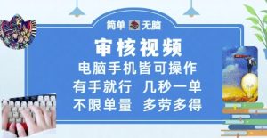 审核视频,电脑手机皆可操作,有手就行,几秒一单,不限单量,多劳多得【揭秘】-阳知网创资源库