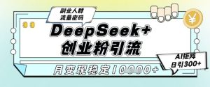 DeepSeek+创业粉精准引流,全新分享课4.0玩法,AI矩阵日引300+,多种变现方式,稳定月入1W-阳知网创资源库