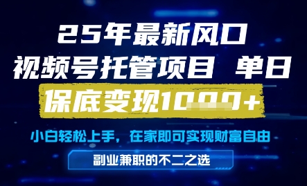 25年最新风口,视频号托管项目,单日保底变现1k+,手把手教学【揭秘】-阳知网创资源库