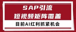 小红书某音sap赛道引流获客 自热矩阵日引200+【揭秘】-阳知网创资源库
