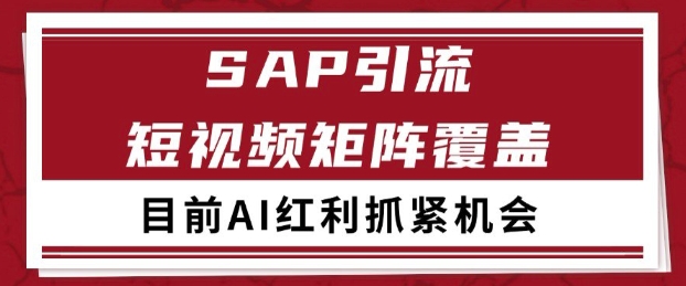 小红书某音sap赛道引流获客 自热矩阵日引200+【揭秘】-阳知网创资源库