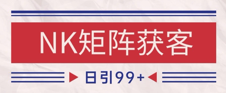 小红书某音NK赛道引流获客 自热矩阵日引200+【揭秘】-阳知网创资源库