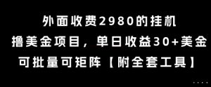 外面收费2980的挂G撸美金项目,单日收益30+美金,可批量可矩阵【揭秘】-阳知网创资源库