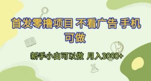 首发零撸项目 不看广告 手机可做 新手小白可以做 月入3k+【揭秘】-阳知网创资源库