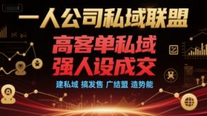 一人公司私域联盟,高客单私域,强人设成交,建私域 搞发售 广结盟 造势能-阳知网创资源库