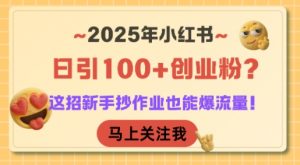 2025年小红书日引100+创业粉?这招新手抄作业也能爆流量!-阳知网创资源库