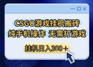 CSGO游戏挂G搬砖，小白纯手机即可操作，不用电脑打游戏，日入3张+，副业网创项目【揭秘】-阳知网创资源库