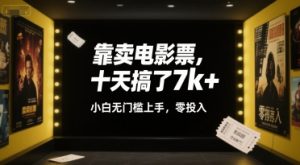 靠卖电影票,十天搞了7k+,小白无门槛上手,零投入【揭秘】-阳知网创资源库