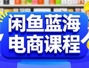 闲鱼蓝海电商课程，手把手助你快速上手，轻松实现闲鱼稳定盈利-阳知网创资源库