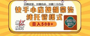 快手小店托管代运营,无需剪辑,无需选品,无需上传作品,全程无需操作,轻松月入5k+【揭秘】-阳知网创资源库