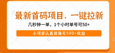 最新首码项目,操作最简单,收益高,一键拉新,1个小时单号可50+,小项目认真做每天5张+收益【揭秘】-阳知网创资源库