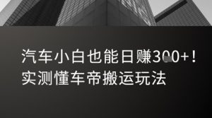 汽车小白也能日入3张！实测懂车帝搬运玩法-阳知网创资源库