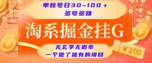 淘系掘金挂G项目,单账号日收益30~100+,多号多得,一个做了就有的项目【揭秘】-阳知网创资源库