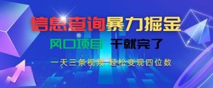 信息查询暴力掘金，一天三条视频，轻松变现四位数，风口项目干就完了【揭秘】-阳知网创资源库