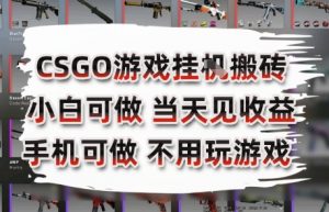 CSGO游戏挂G搬砖，小白纯手机即可操作，不用电脑打游戏，日入3张+，副业网创项目【揭秘】-阳知网创资源库