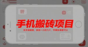 手机搬砖项目,有手就能做,亲测一小时几十,苹果安卓都可以-阳知网创资源库