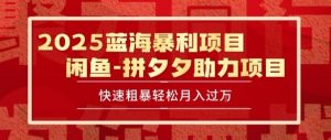 2025 最新闲鱼蓝海暴利项目 快速粗暴让你月入过1W不是梦,保姆级教程【揭秘】-阳知网创资源库