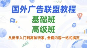 国外广告联盟教程,基础班和高级班,从新手入门到高阶玩家,全套内容一站式搞定-阳知网创资源库
