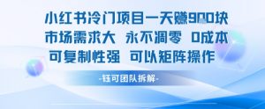 小红书冷门项目一天收益9张，市场需求大，0成本，可复制性强可以矩阵操作-阳知网创资源库