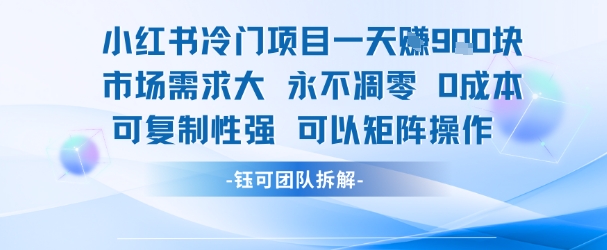 小红书冷门项目一天收益9张,市场需求大,0成本,可复制性强可以矩阵操作-阳知网创资源库