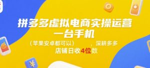 拼多多虚拟电商实操运营,一台手机(苹果安卓都可以),深耕多多店铺日收4位数-阳知网创资源库