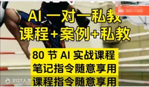 AI指令实战课,课程+案例,80节AI实战课程,笔记指令随意享用,课程指令随意享用(更新7月)-阳知网创资源库