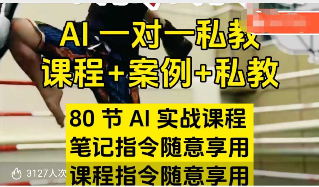 AI指令实战课,课程+案例,80节AI实战课程,笔记指令随意享用,课程指令随意享用(更新7月)-阳知网创资源库