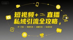 短视频+直播私域引流全攻略,IP打造 +视频引流 +直播引流 +私域沉淀-阳知网创资源库