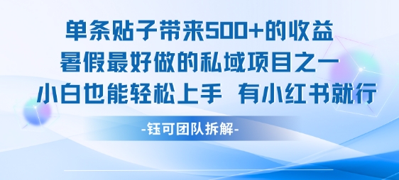 单条贴子带来5张的收益，暑假最好做的私域项目之一，小白也能轻松上手，有小红书就行-阳知网创资源库